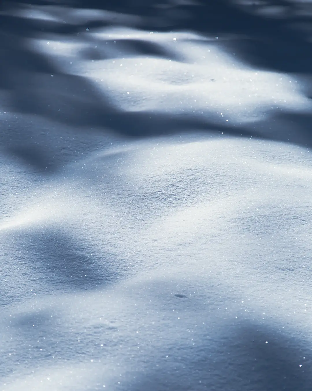 Photo de 'badashphotos' sur Unsplash